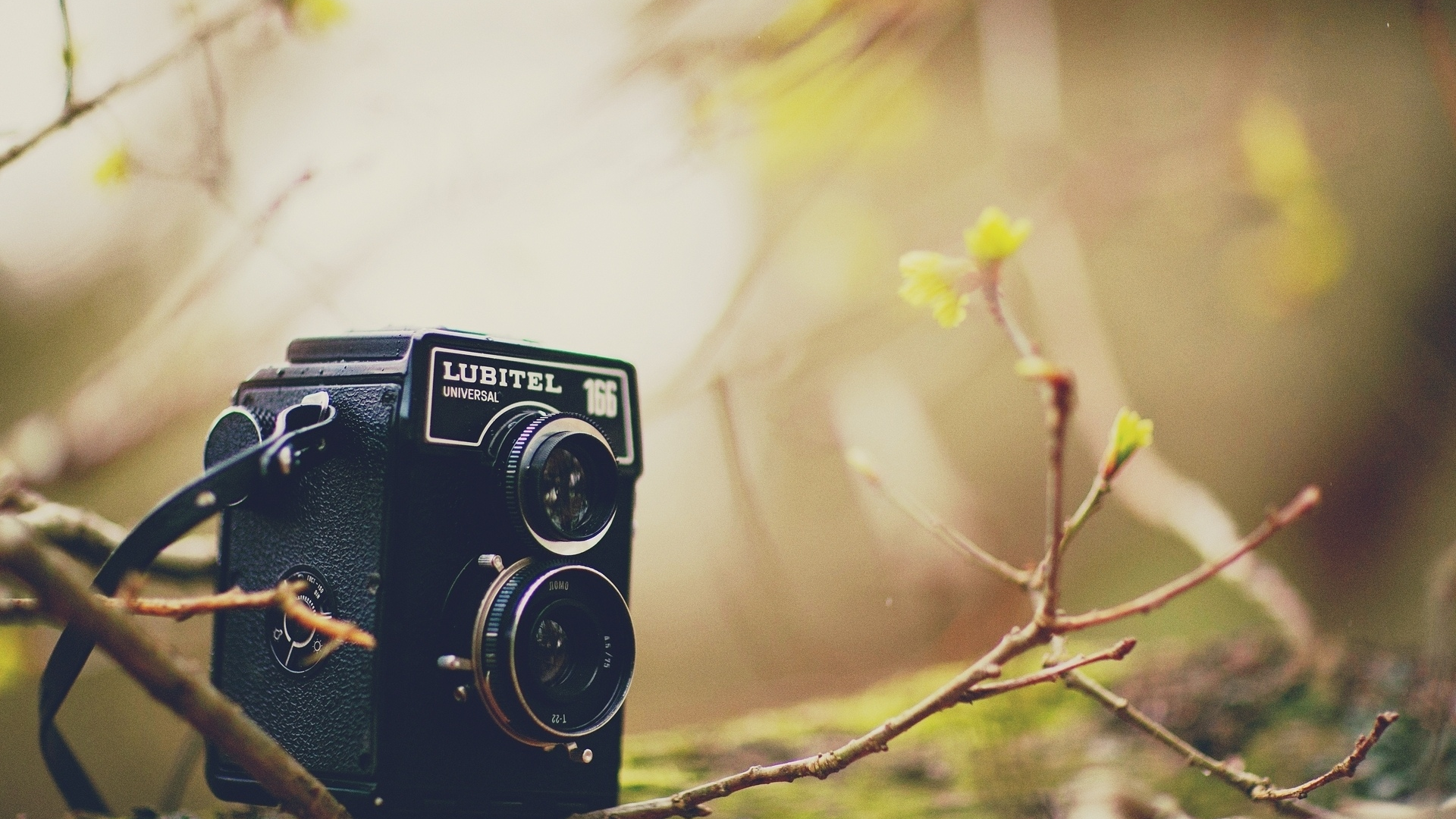 camera, разное, листья, фотоаппарат, самера, lubitel, дерево