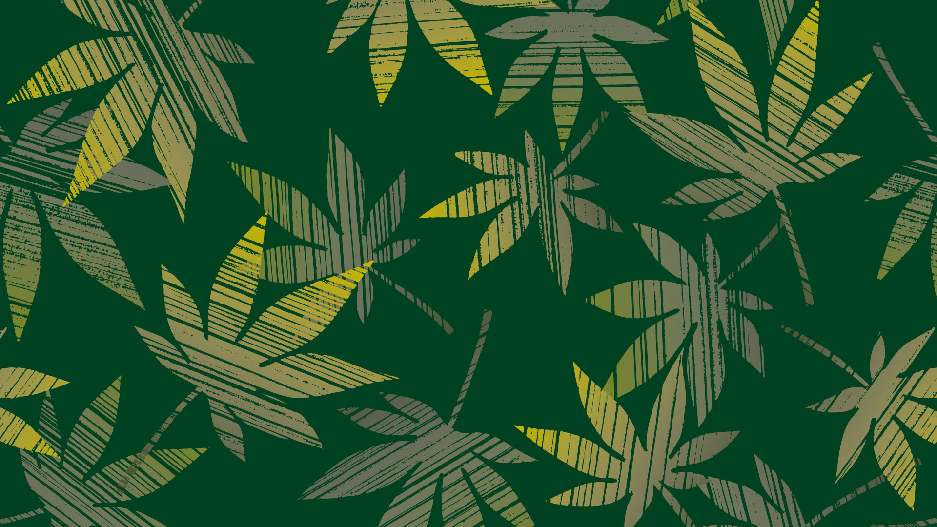Фон, зеленый, листья, текстура.