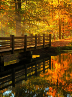 fall, alley, river, leaves, hdr, walk, trees, nature, view, water, forest, park, autumn, bridge