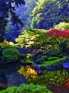 япония.ю сад, пруд