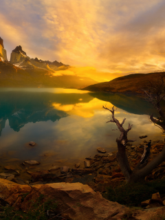 Южная Америка, Патагония, Чили, горы Анды, национальный парк Торрес-дель-Пайне, утро