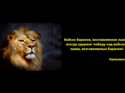 мудрость, Наполеон, лев