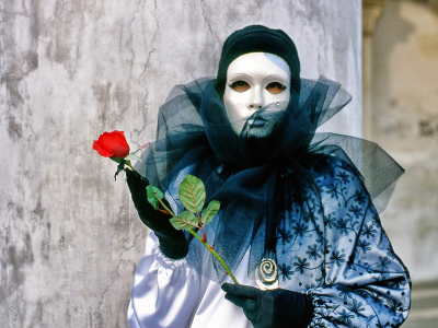 маска, арлекин, женщина, цветок, роза, красная, перчатки