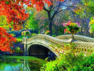 мост, природа, деревья