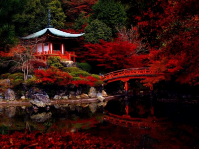 Япония, сад, мост, пруд