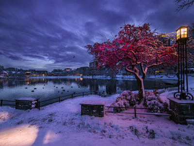 Норвегия, Ставангер, зима, снег, пейзаж.