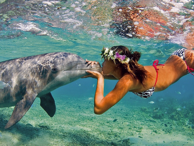 Море, вода, девушка, дельфин, поцелуй.