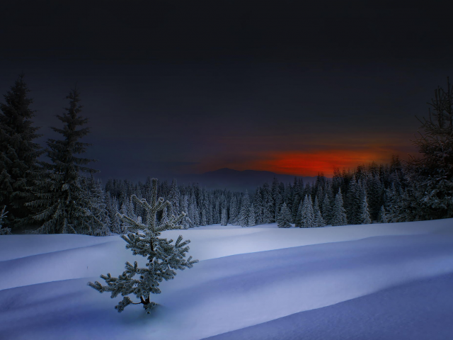 зима, родопи, winter in rhodope, закат, болгария