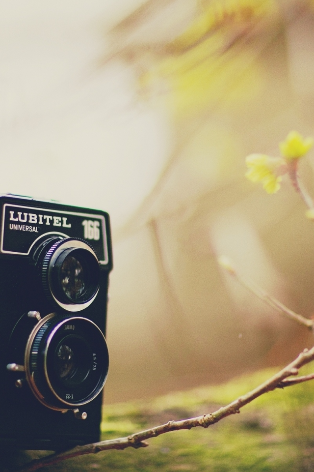 camera, разное, листья, фотоаппарат, самера, lubitel, дерево
