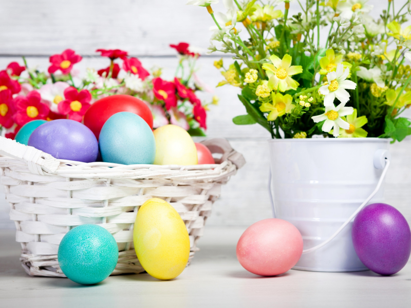 Easter, eggs, flowers, пасха, яйца, разноцветные, цветы