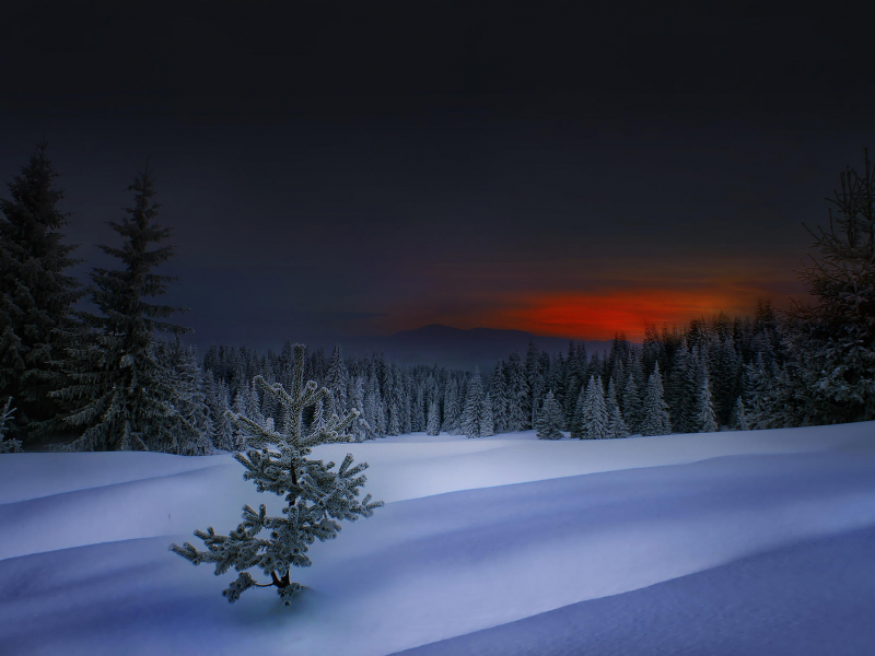 зима, родопи, winter in rhodope, закат, болгария