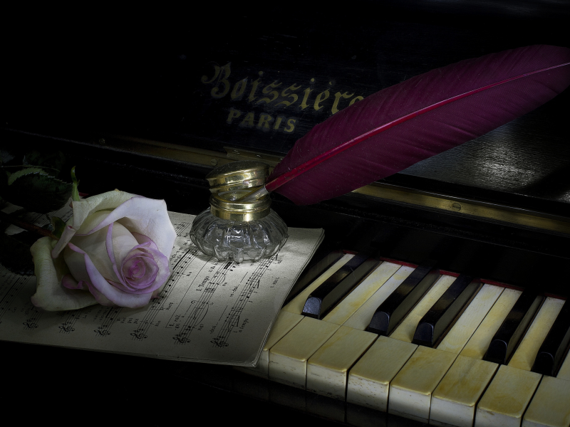 Инструмент, пианино, клавиши, цветы, роза.