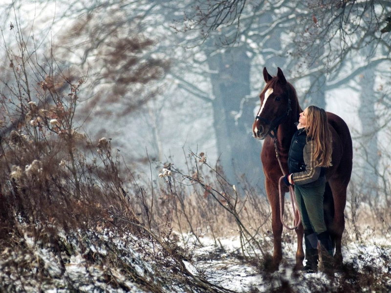 лес, снег, конь, наездница