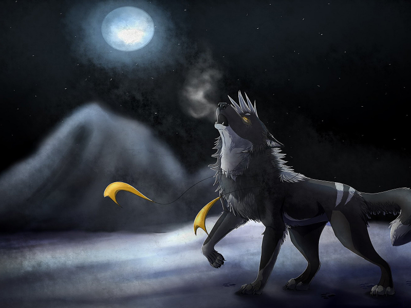Волк, зверь, луна, небо