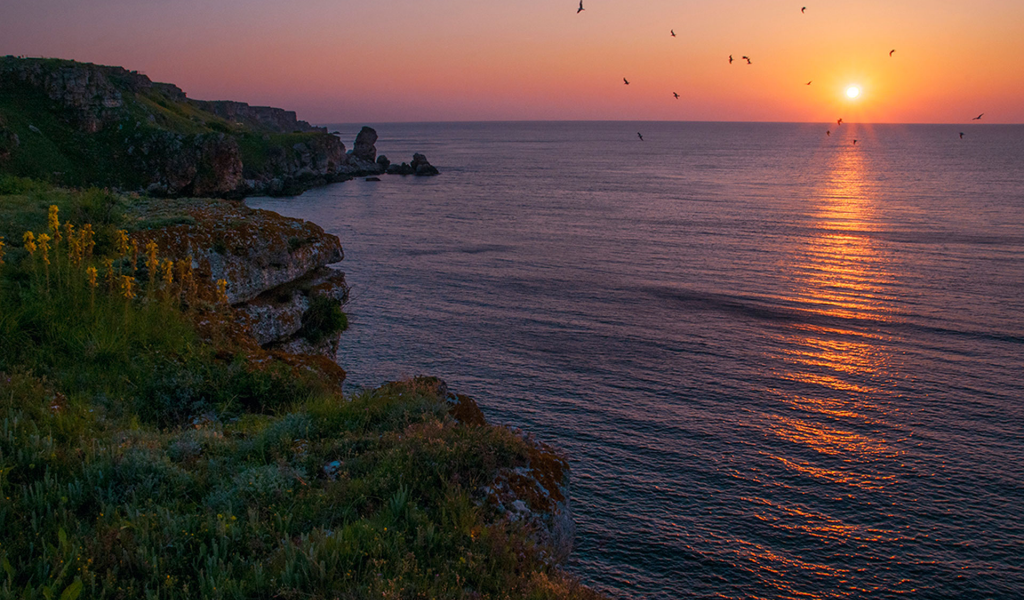 Болгария, Чёрное море, небо, море, берег, природа, пейзаж, солнце, восход, чайки