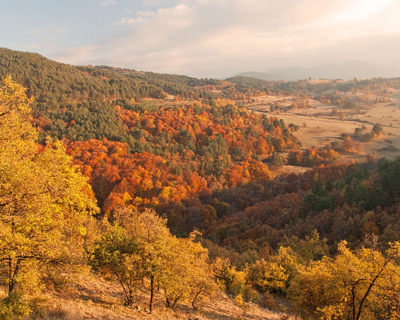 Родопи, Болгария, горы, деревья, лес, небо, облака, туманы, природа, пейзаж, осень