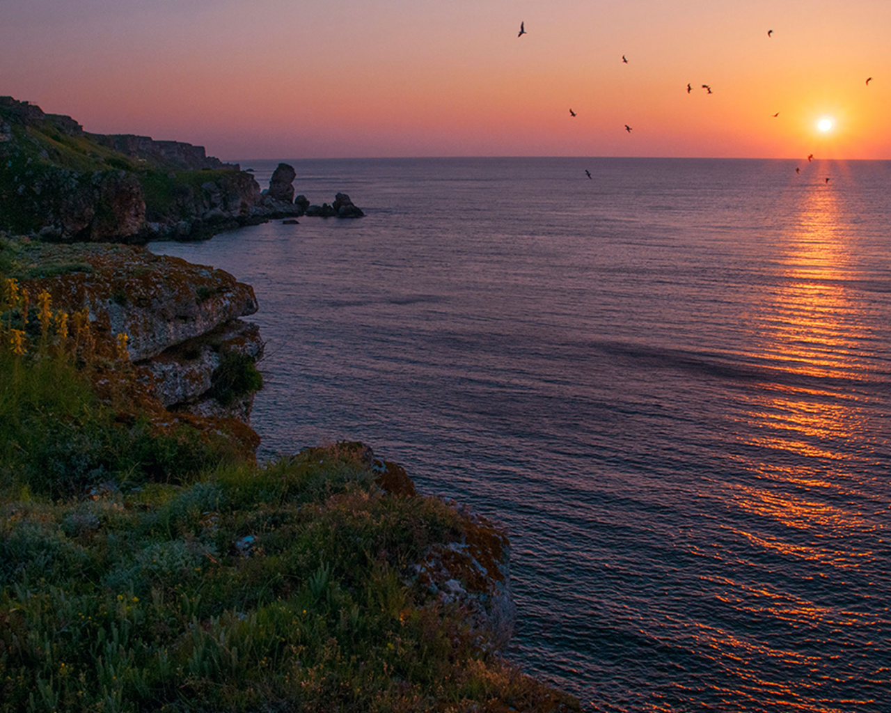 Болгария, Чёрное море, небо, море, берег, природа, пейзаж, солнце, восход, чайки