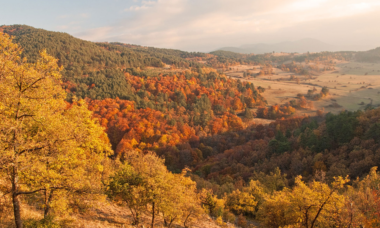 Родопи, Болгария, горы, деревья, лес, небо, облака, туманы, природа, пейзаж, осень