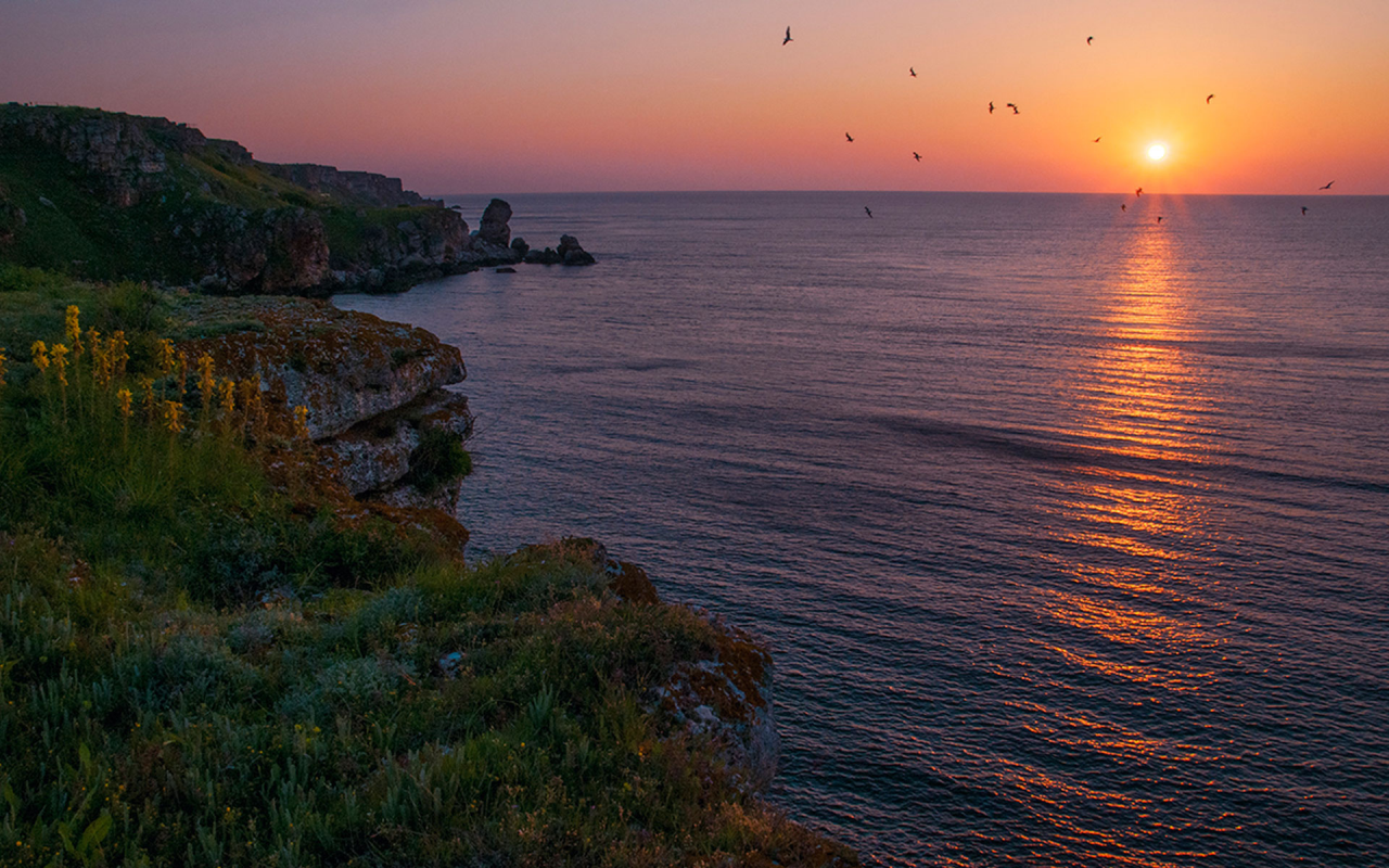 Болгария, Чёрное море, небо, море, берег, природа, пейзаж, солнце, восход, чайки