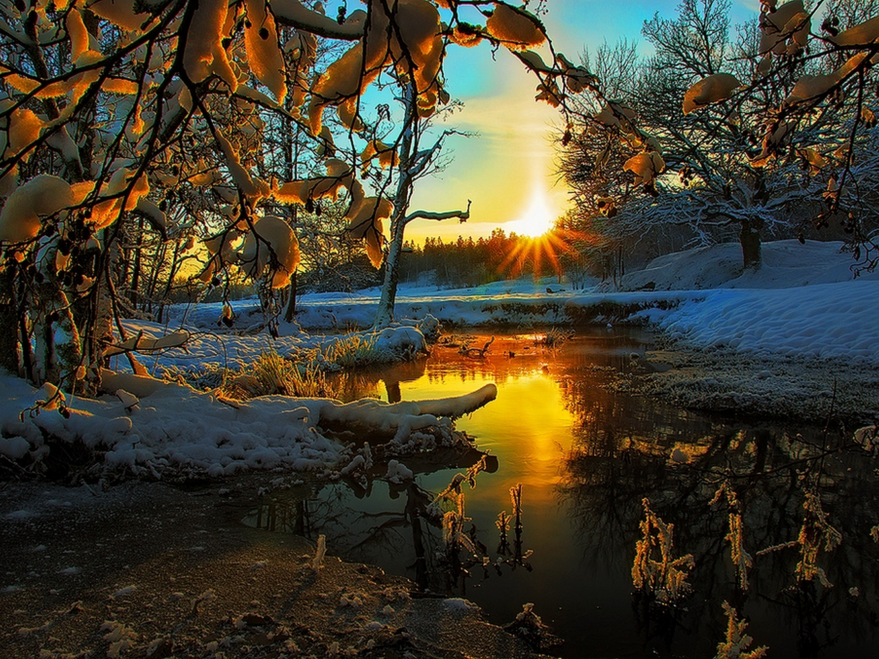 hdr, tree, view, scenery, snow, winter, season, colors, sky, landscape, nature, sunset, ice, clouds