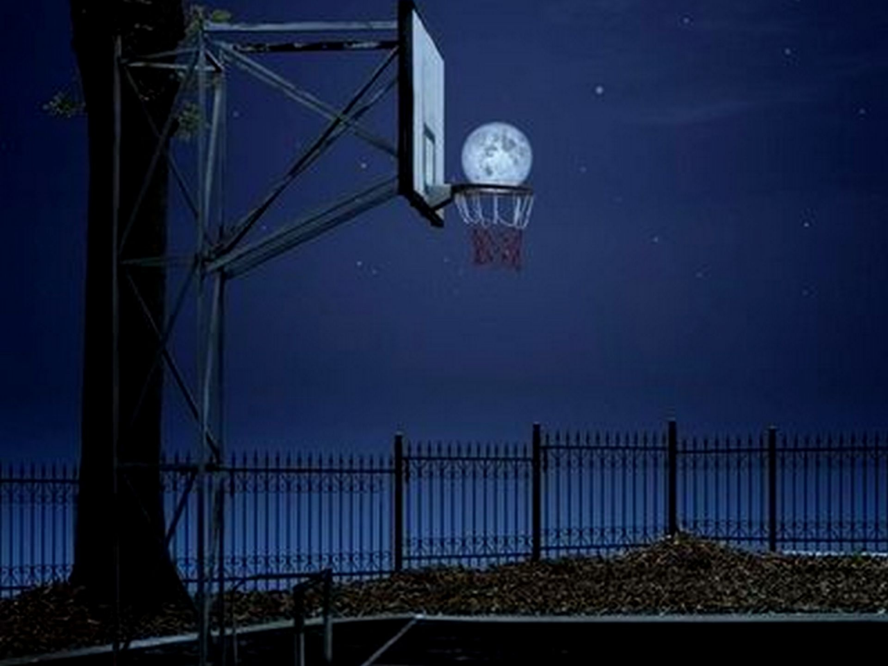ночь, луна, баскетбол