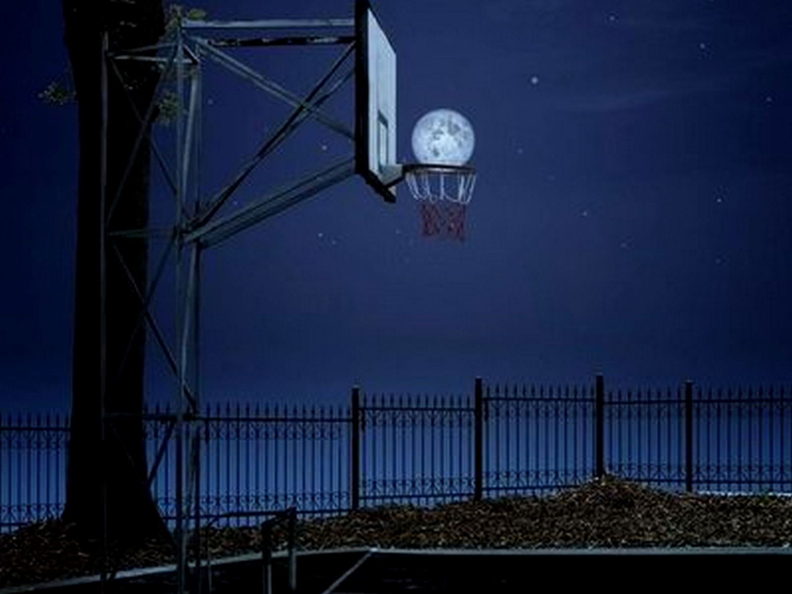 ночь, луна, баскетбол