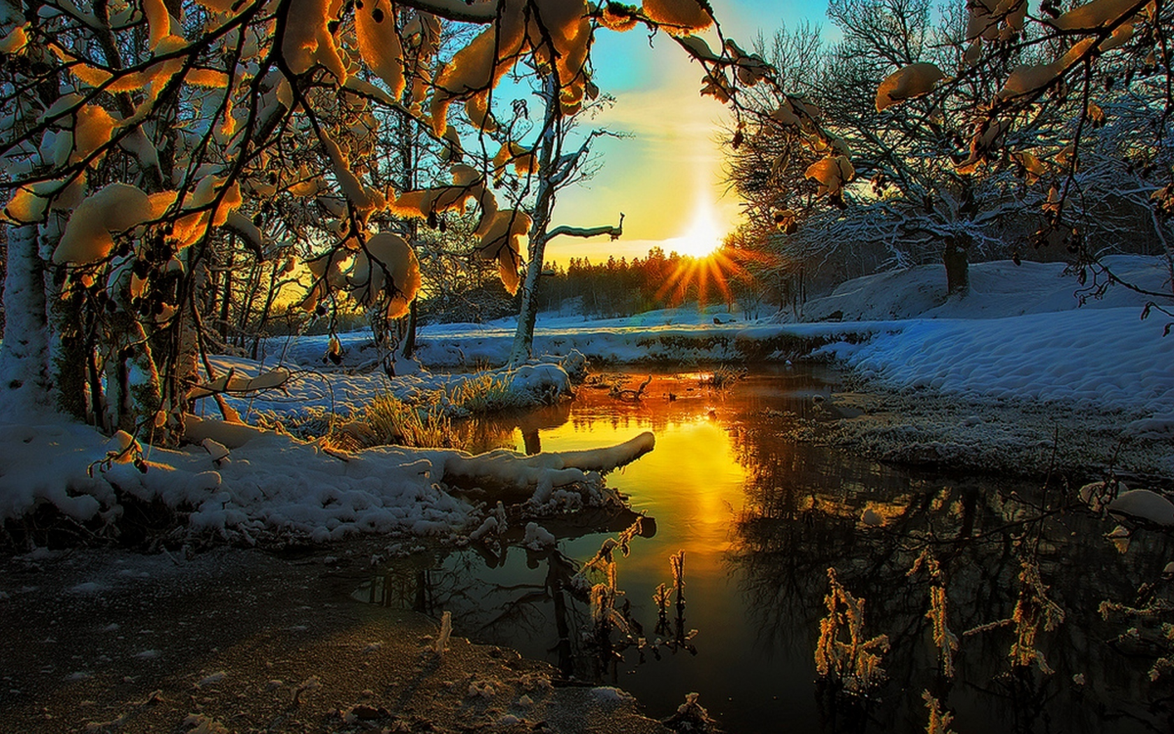 hdr, tree, view, scenery, snow, winter, season, colors, sky, landscape, nature, sunset, ice, clouds