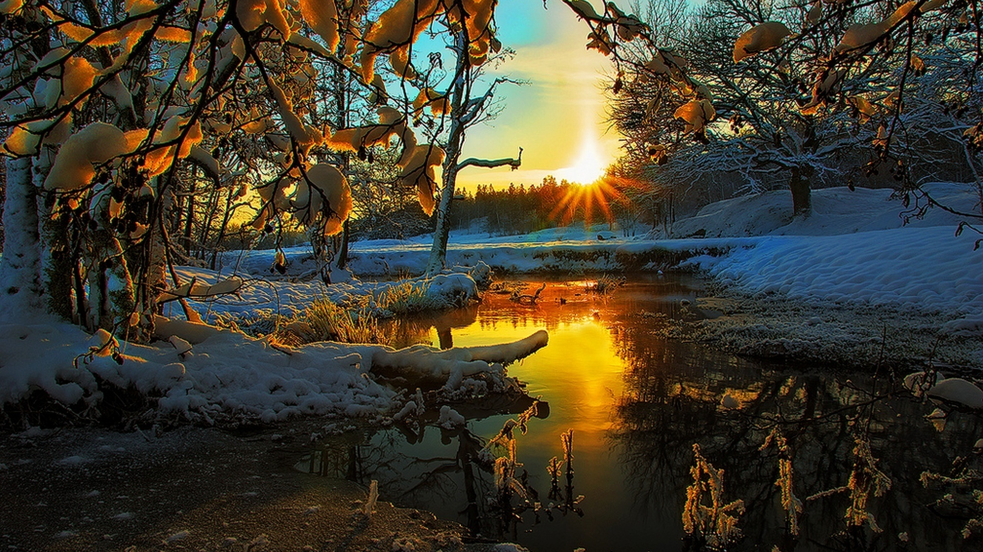 hdr, tree, view, scenery, snow, winter, season, colors, sky, landscape, nature, sunset, ice, clouds