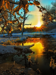 hdr, tree, view, scenery, snow, winter, season, colors, sky, landscape, nature, sunset, ice, clouds