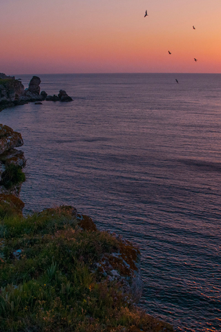 Болгария, Чёрное море, небо, море, берег, природа, пейзаж, солнце, восход, чайки