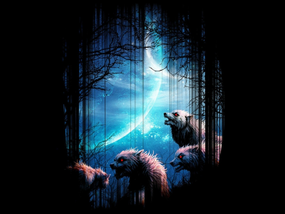лес, волки, фон, ночь, луна