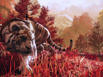 Азия, тигр, поле, трава, красный, игра, Far Cry 4