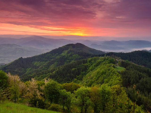 Родопи, Болгария, горы, деревья, лес, небо, природа, пейзаж, туманы, восход, весна