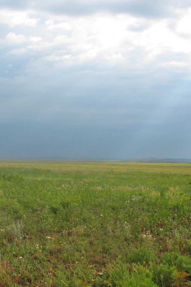 пейзаж, центральный казахстан, степь, весна, горизонт, даль, трава, степной пейзаж