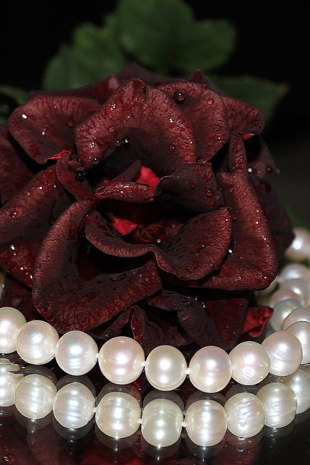 ожерелье, роза, жемчуг, разное, бусы, цветы, украшение
