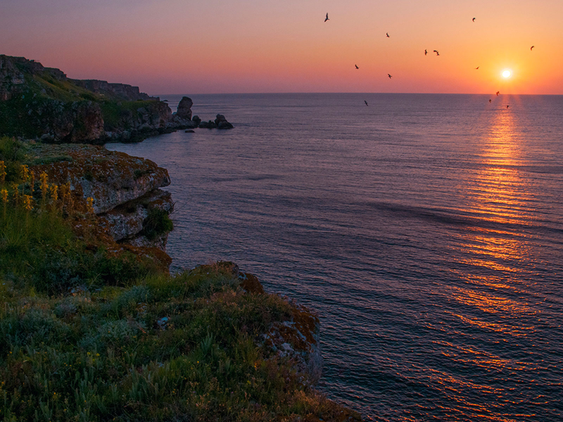 Болгария, Чёрное море, небо, море, берег, природа, пейзаж, солнце, восход, чайки