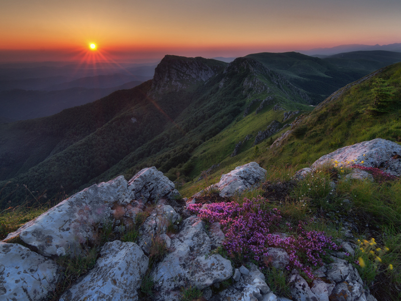 Стара планина, Балканские горы, Болгария, горы, деревья, лес, цветы, небо, облака, солнце, восход, природа, пейзаж, скалы