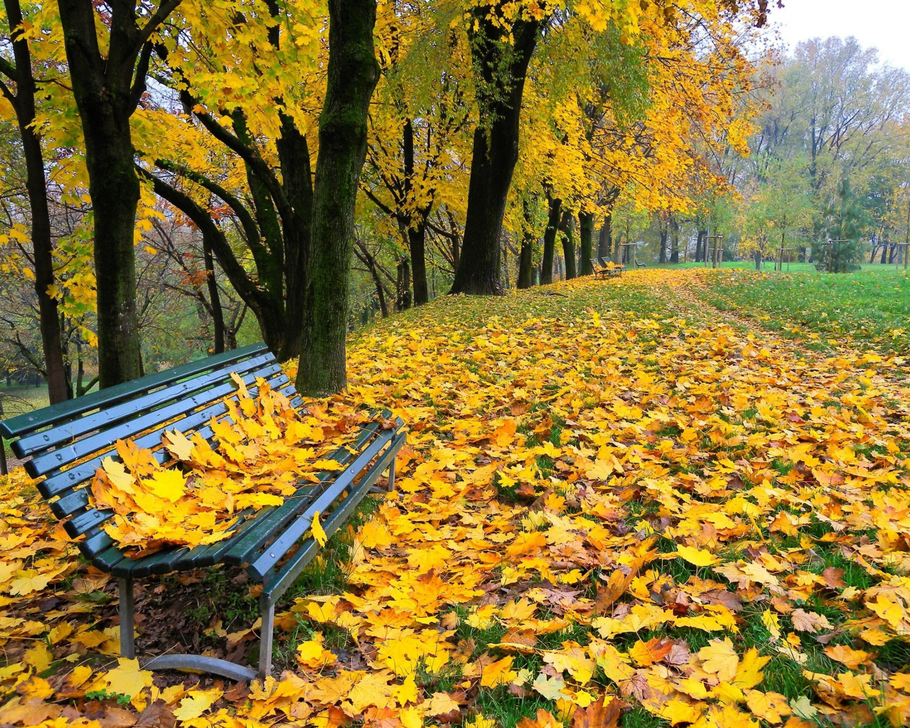 природа, парк, деревья, скамья, осень, листья, аллея