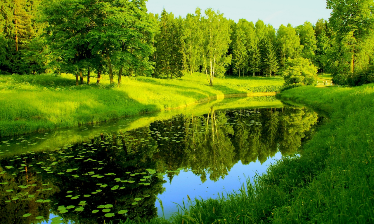 природа, отражения, деревья, река, зелень