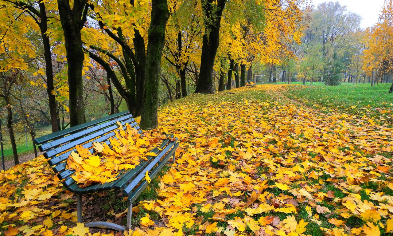 природа, парк, деревья, скамья, осень, листья, аллея