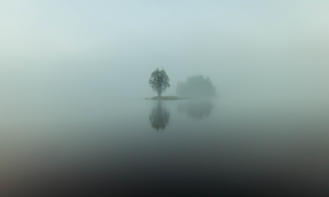 остров, отражения, утро, вода, озеро, дерево, туман