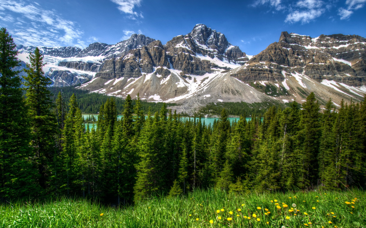 горы, лес, канада, деревья, трава, пейзаж, банф, hdr, парк