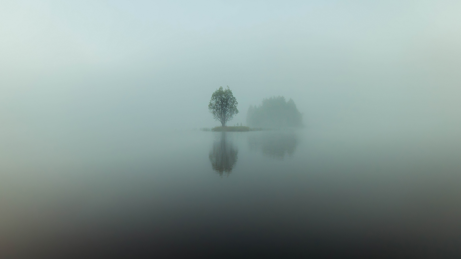 остров, отражения, утро, вода, озеро, дерево, туман