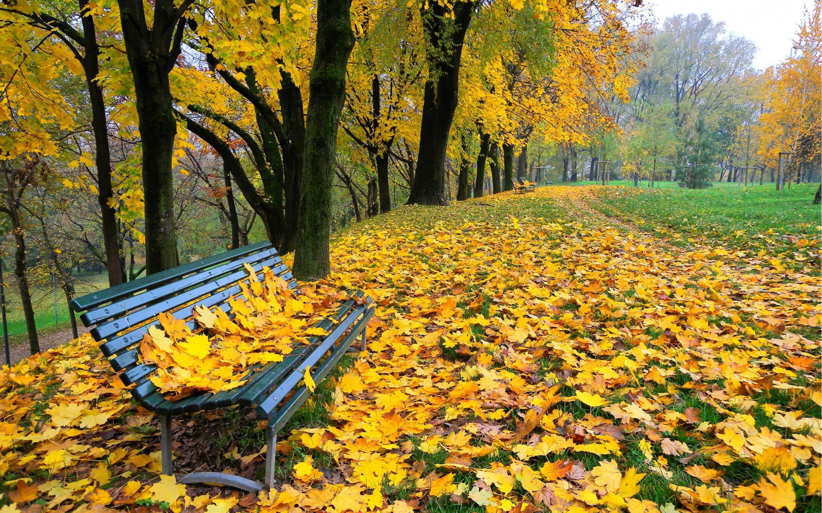 природа, парк, деревья, скамья, осень, листья, аллея