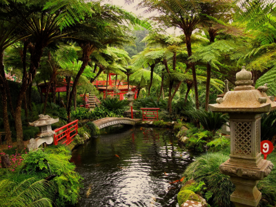 японский, пруд, сады