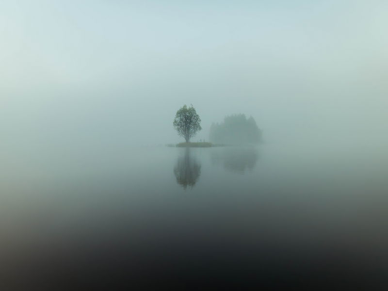 остров, отражения, утро, вода, озеро, дерево, туман