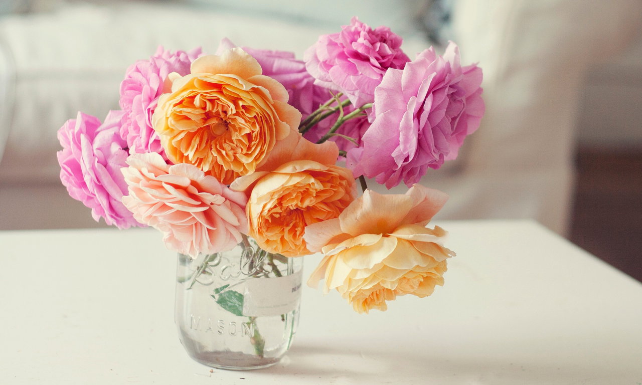 цветы, розовые, лепестки, розы, оранжевые, букет, банка