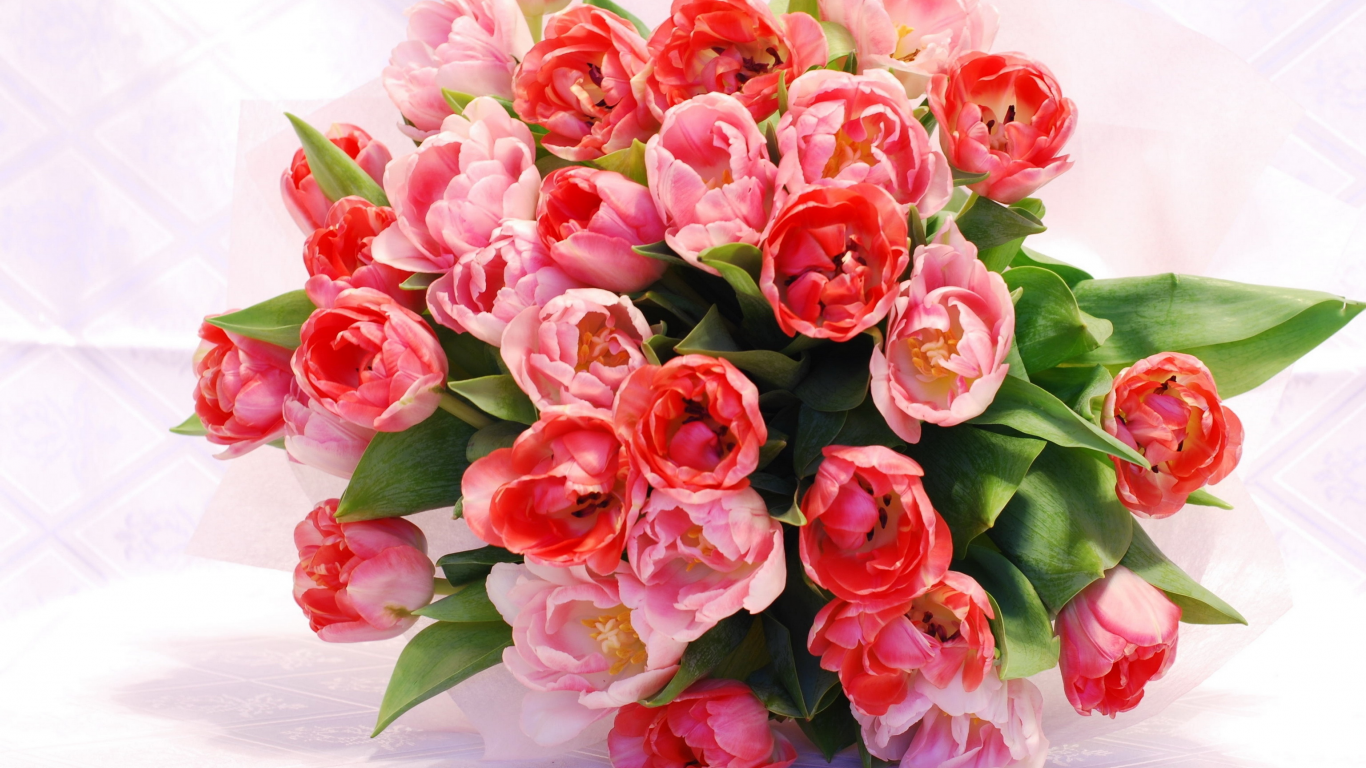букет, цветы, тюльпаны, весна