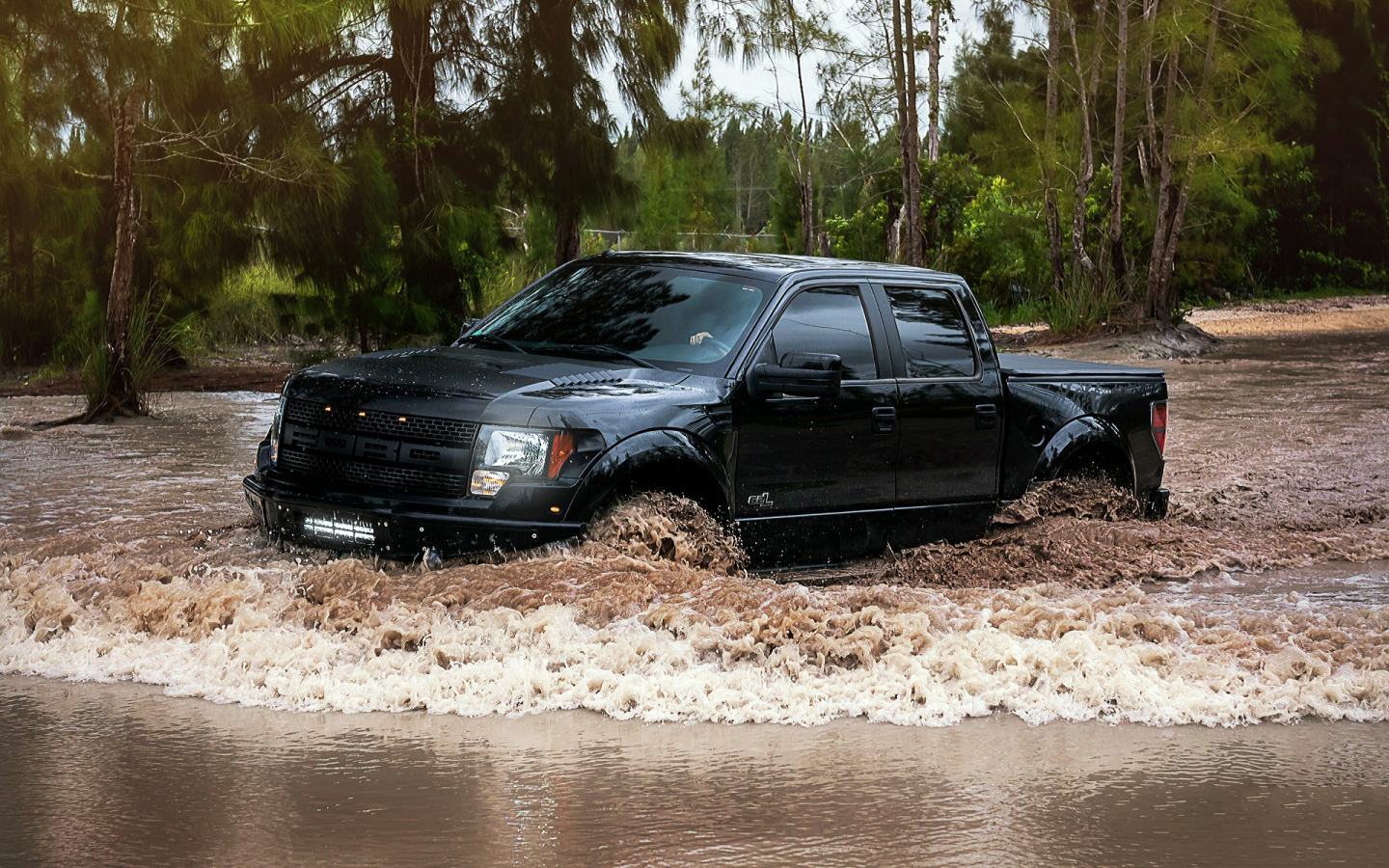 Бездорожье, тропики, авто, пикап, внедорожник, Ford