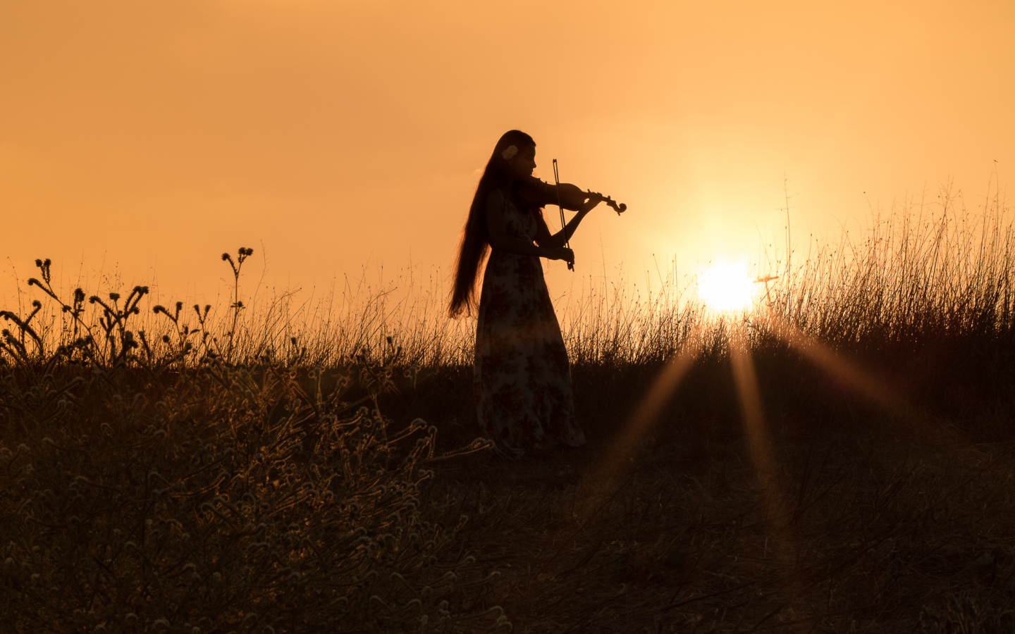 поле, закат, солнце, девушка, силуэт, скрипка, настроение
